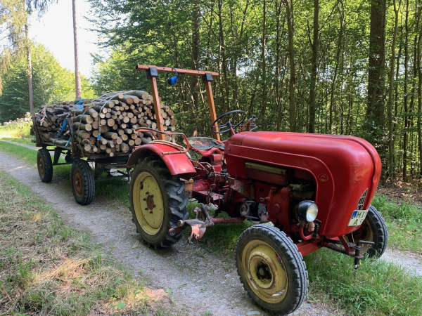 <p>Februar 2025<br/>„Ist es im Winter draußen kalt, holt man Holz im tiefen Wald