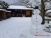 <p>Februar 2026<br/>„Bulldogs im Schnee...noch zögern sie :-).