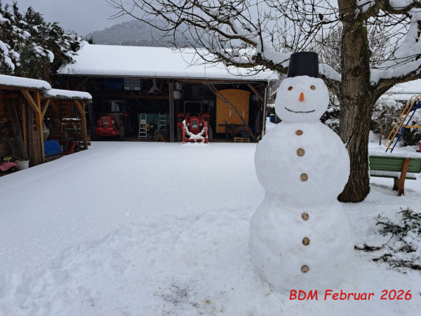 <p>Februar 2026<br/>„Bulldogs im Schnee...noch zögern sie :-).