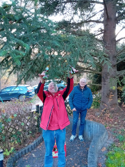 Tannenzäpfle im Amorhof