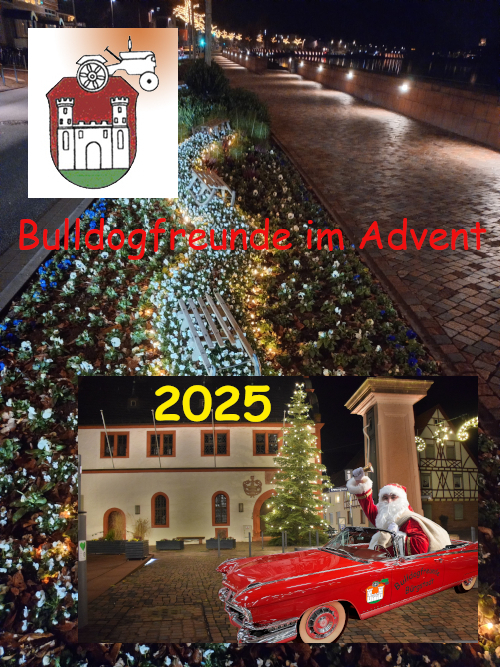 Bulldogfreunde im Advent 2025